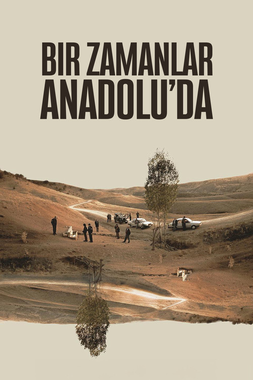 Bir Zamanlar Anadolu'da afiş görseli