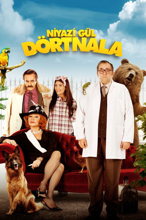 Niyazi Gül Dörtnala afiş görseli