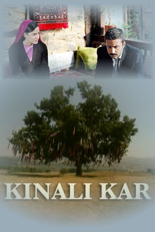 Kınalı Kar afiş görseli