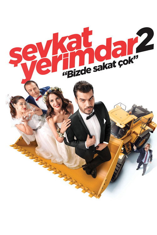 Şevkat Yerimdar 2 afiş görseli