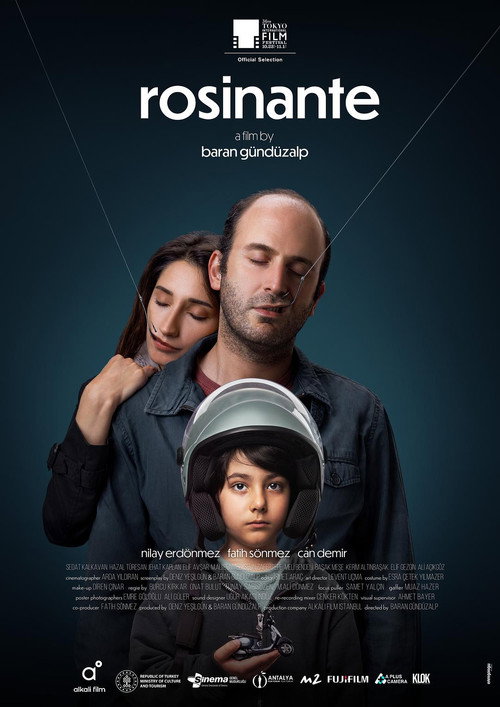 Rosinante afiş görseli