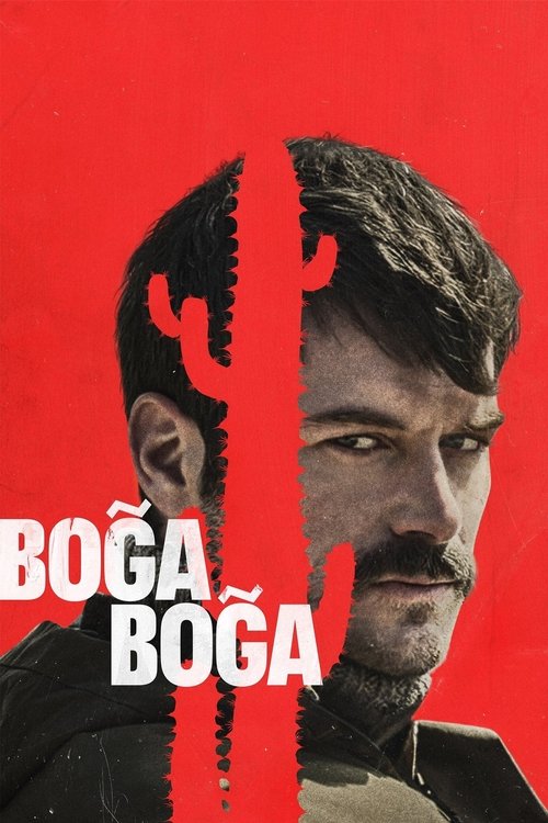 Boğa Boğa afiş görseli