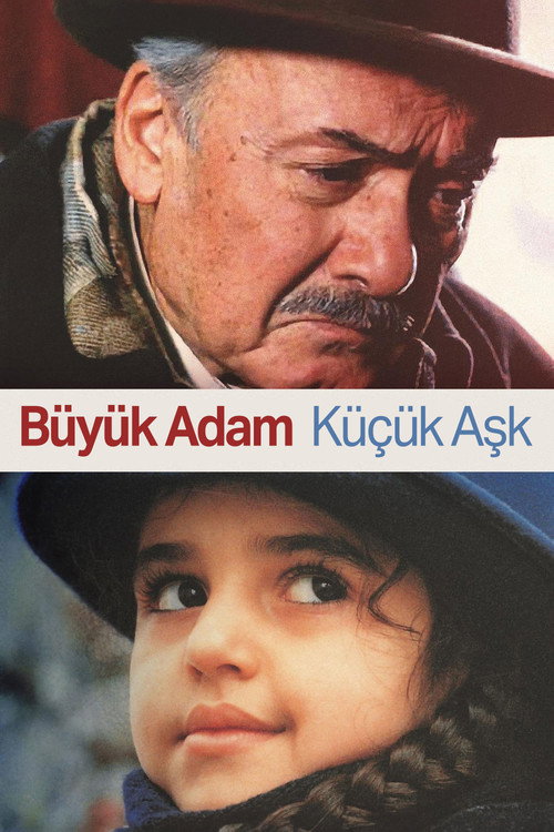 Büyük Adam Küçük Aşk afiş görseli