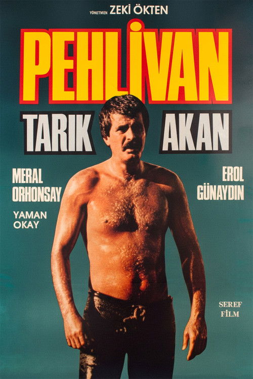Pehlivan afiş görseli