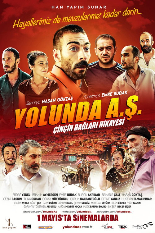 Yolunda A.Ş. Çinçin Bağları Hikayesi afiş görseli