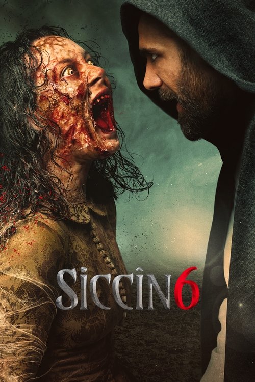 Siccîn 6 afiş görseli
