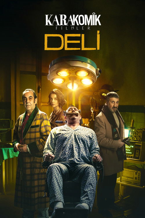 Karakomik Filmler 2: Deli afiş görseli