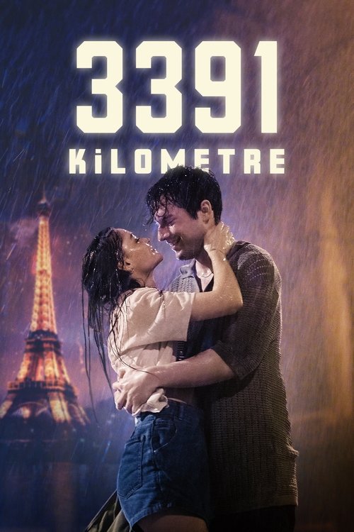 3391 Kilometre afiş görseli