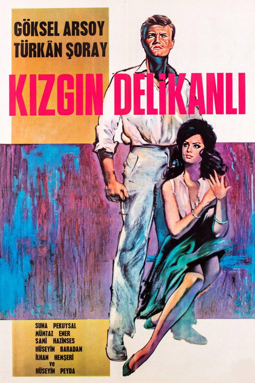Kızgın Delikanlı afiş görseli