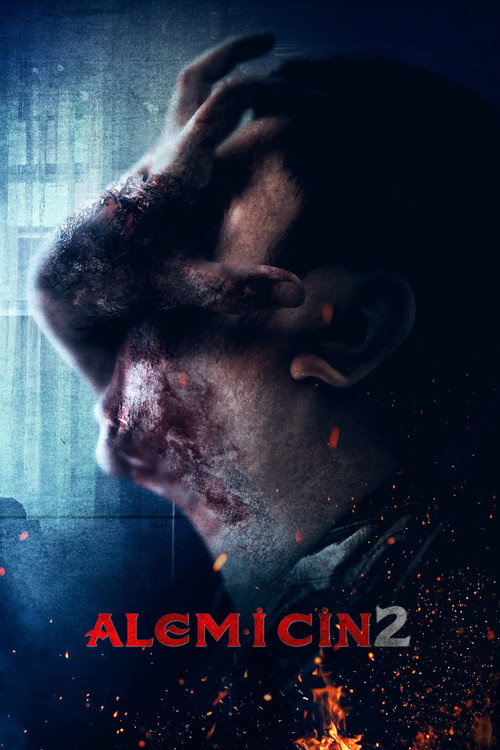 Alem-i Cin 2 afiş görseli