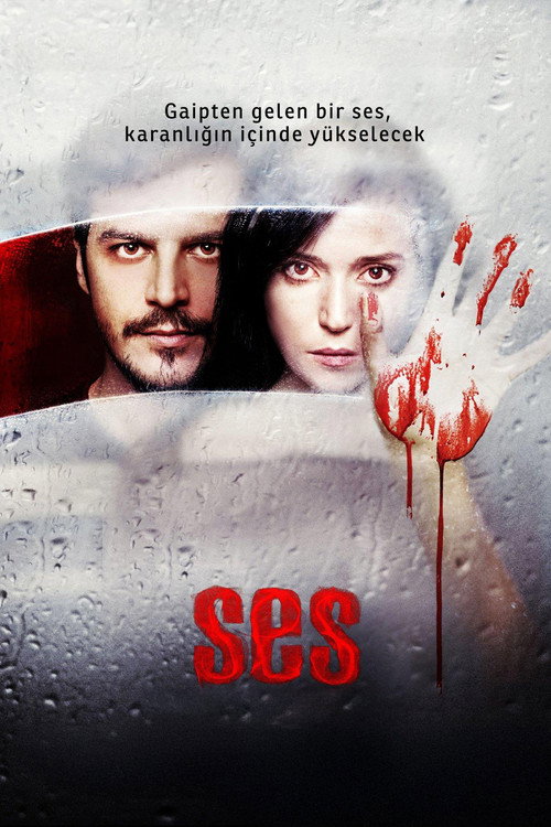 Ses afiş görseli