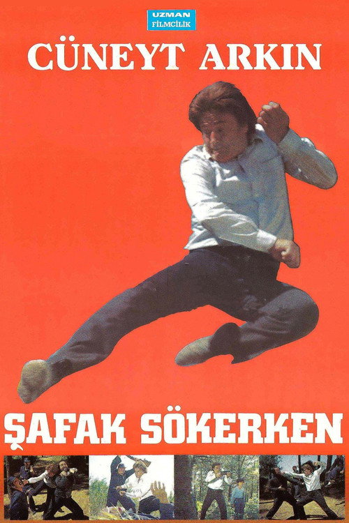 Şafak Sökerken afiş görseli