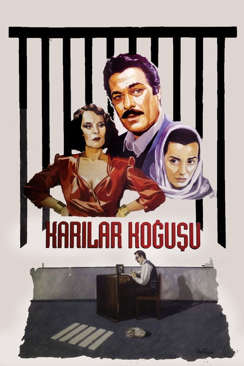 Karılar Koğuşu afiş görseli