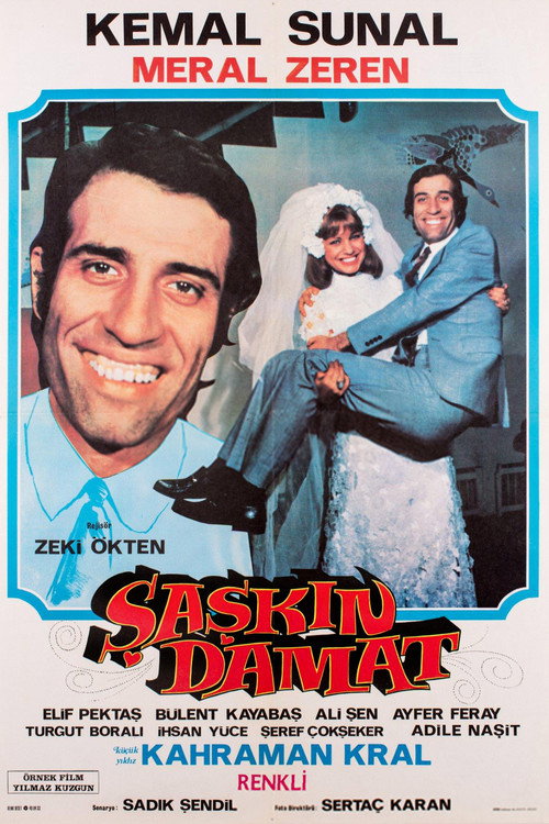 Şaşkın Damat afiş görseli