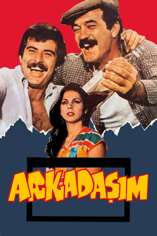 Arkadaşım afiş görseli