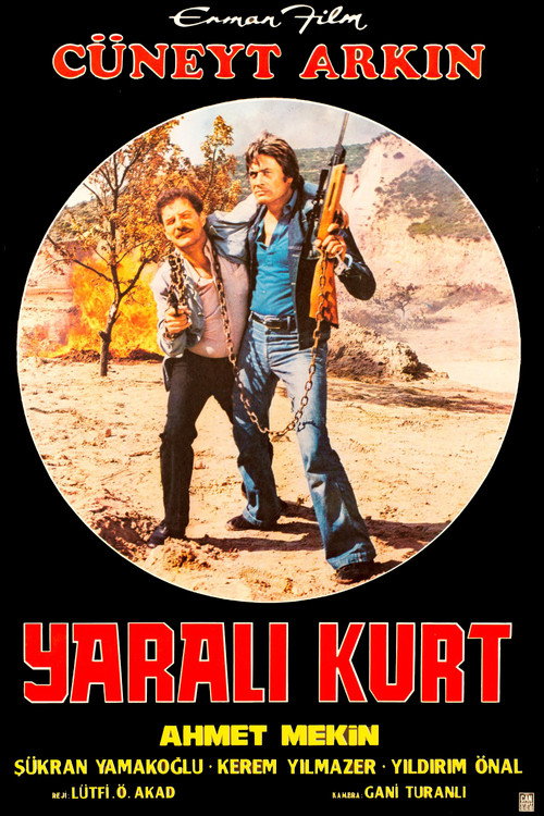 Yaralı Kurt afiş görseli