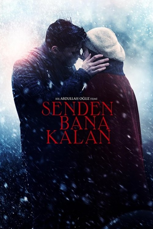 Senden Bana Kalan afiş görseli