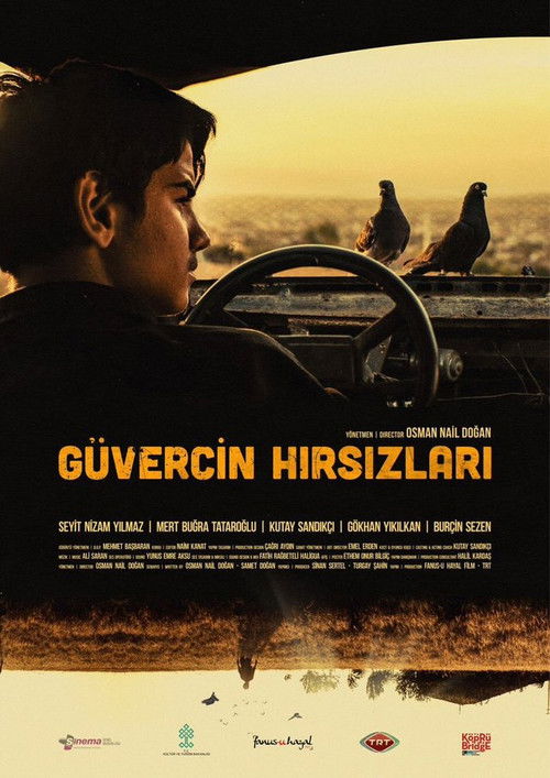 Güvercin Hırsızları afiş görseli