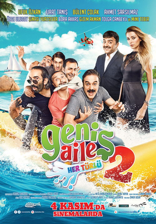Geniş Aile 2: Her Türlü afiş görseli