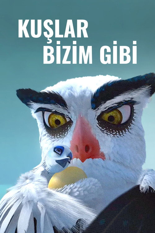 Kuşlar Bizim Gibi afiş görseli