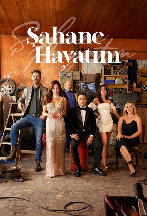 Şahane Hayatım afiş görseli
