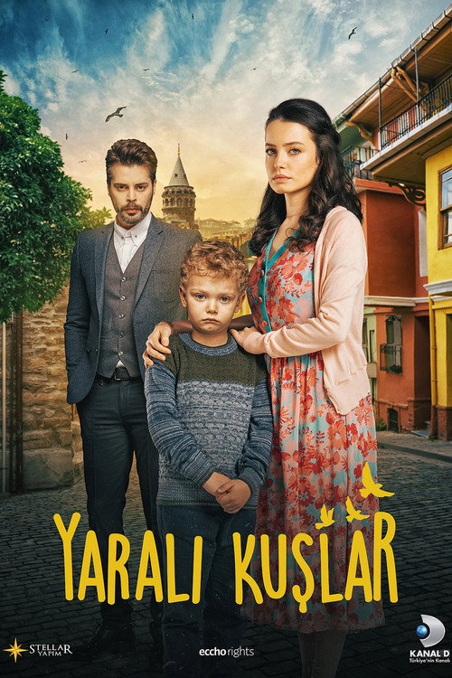 Yaralı Kuşlar afiş görseli
