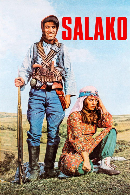 Salako afiş görseli