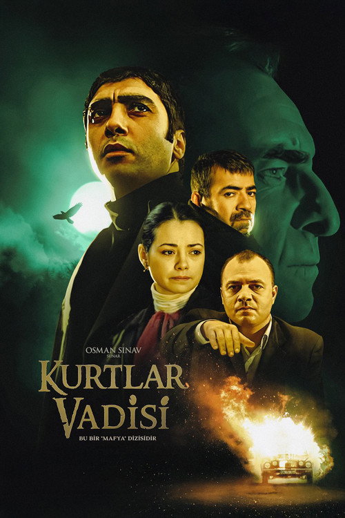 Kurtlar Vadisi afiş görseli