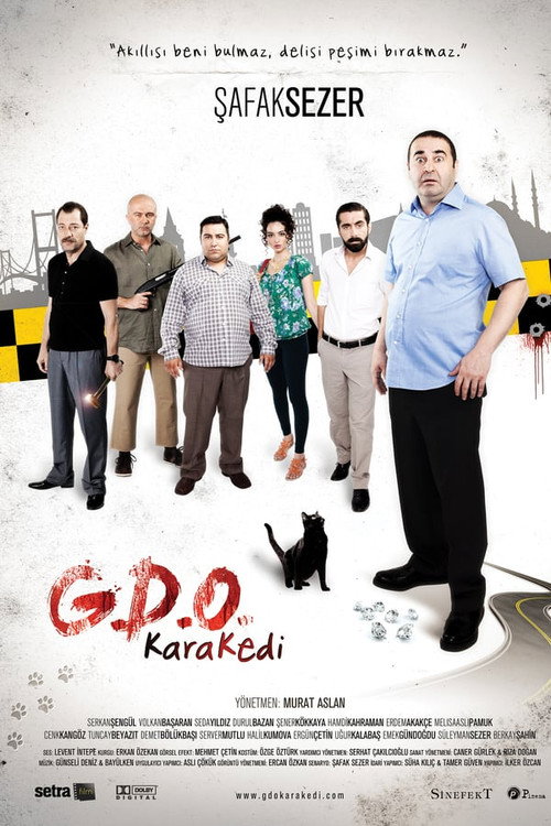 G.D.O. KaraKedi afiş görseli