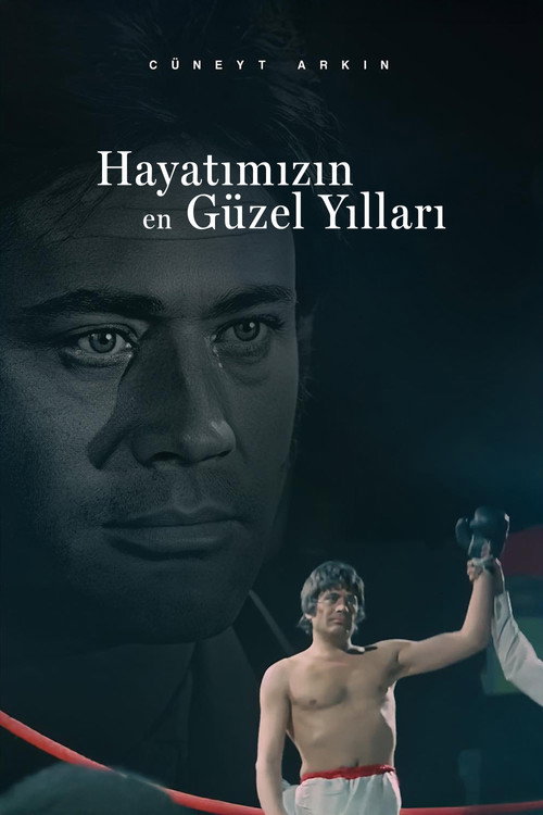 Hayatımızın En Güzel Yılları afiş görseli
