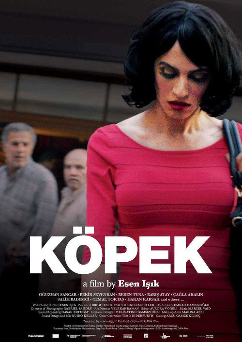 Köpek afiş görseli