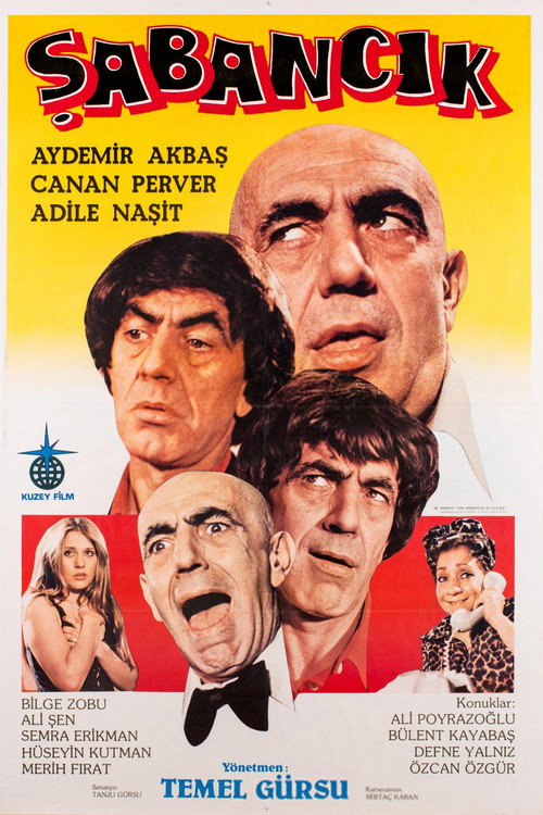 Şabancık afiş görseli
