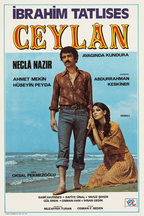 Ceylan afiş görseli