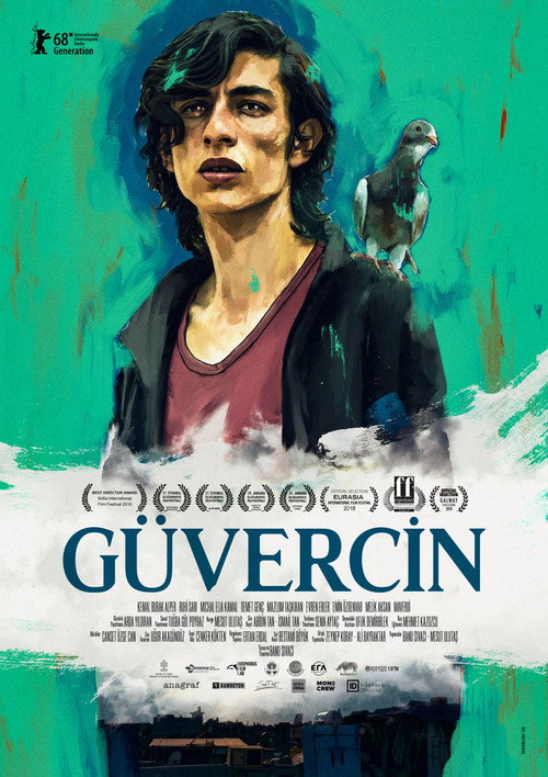 Güvercin afiş görseli