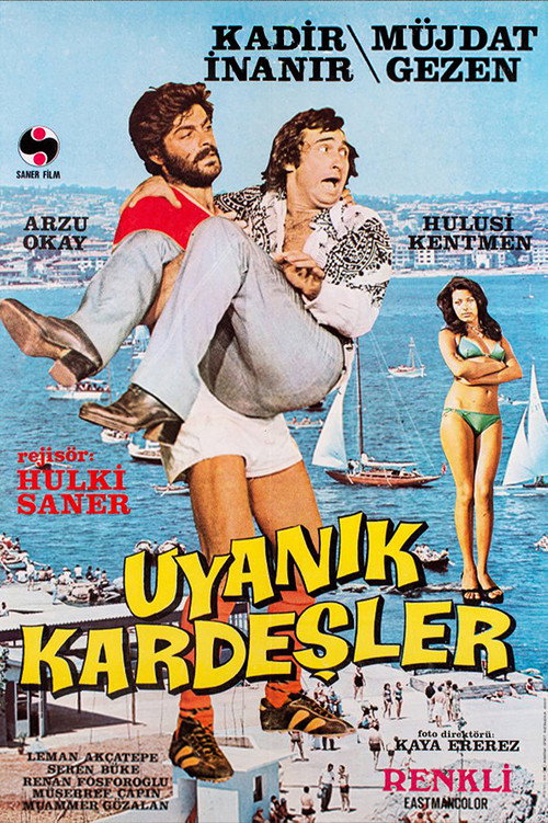 Uyanık Kardeşler afiş görseli