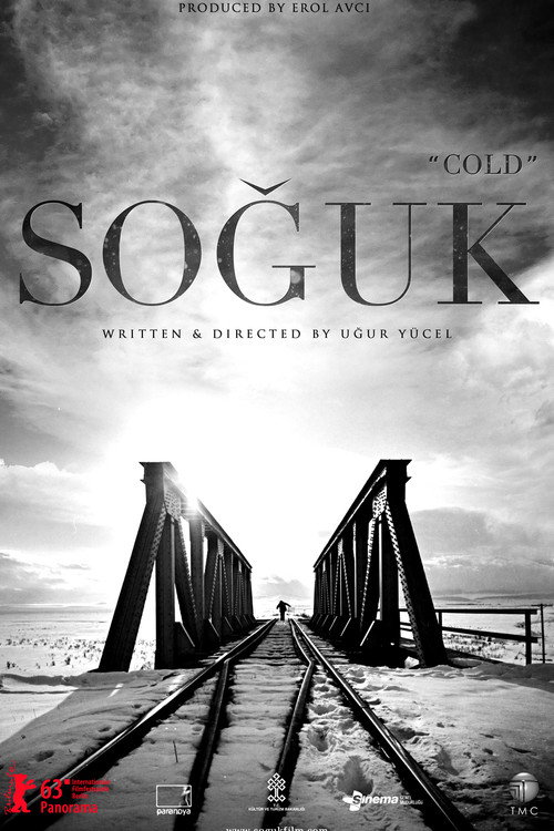 Soğuk afiş görseli