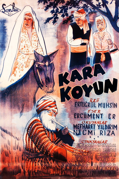 Kara Koyun afiş görseli