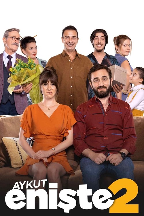 Aykut Enişte 2 afiş görseli