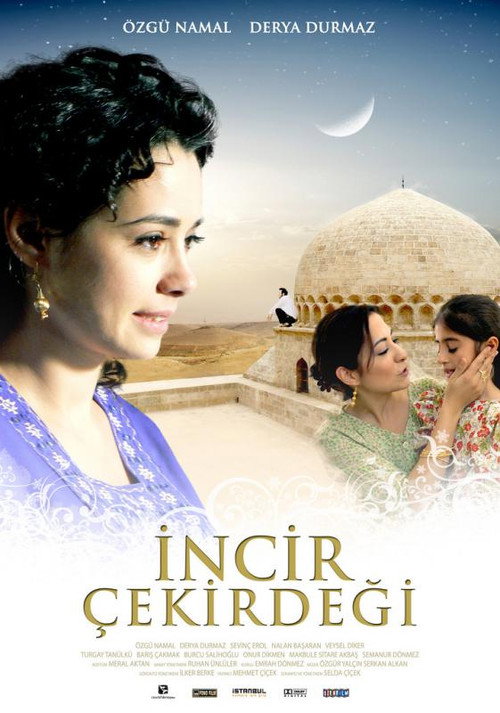 İncir Çekirdeği afiş görseli