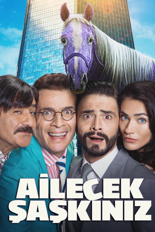 Ailecek Şaşkınız afiş görseli