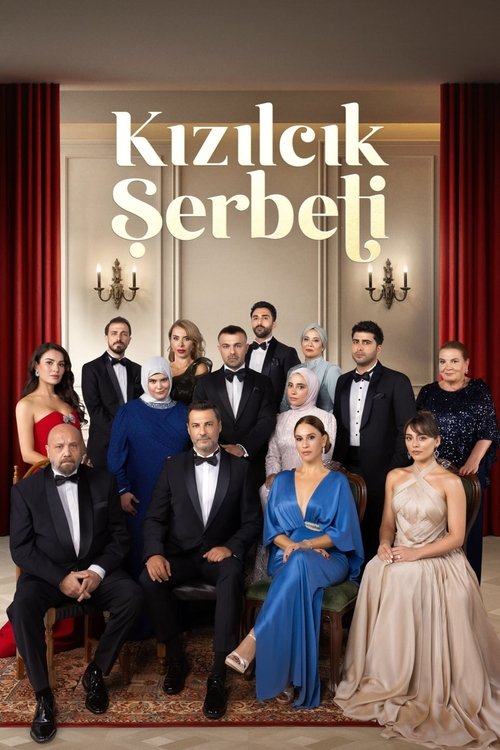 Kızılcık Şerbeti afiş görseli