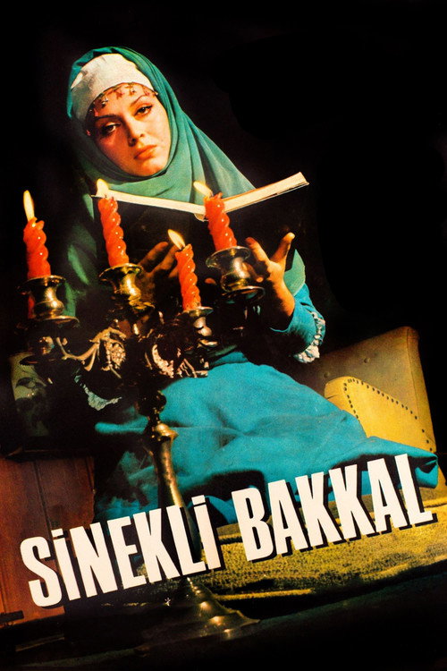 Sinekli Bakkal afiş görseli
