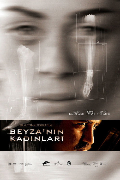 Beyza'nın Kadınları afiş görseli