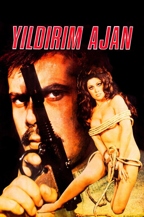 Yıldırım Ajan afiş görseli