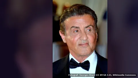 Sylvester Stallone — Sylvester Stallone: Kızımın düğünü yüzünden emekli olamıyorum