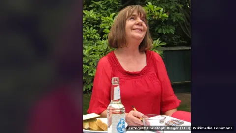 Julia Donaldson — Rob Brydon ve Gavin and Stacey Oyuncuları 'The Baddies' Adaptasyonunda Ortaya Çıkacak