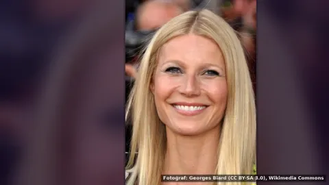 Gwyneth Paltrow — Gwyneth Paltrow, Fransız kız tarzında klasik şık kıyafetle dikkat çeker