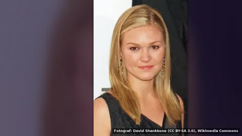 Julia Stiles — Julia Stiles, 'Save the Last Dance' Devamı İçin Fikirlerini Paylaştı