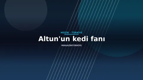 Altun'un kedi fanı