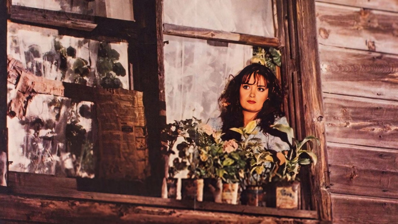 Fahriye Abla yapımından bir kare (1)